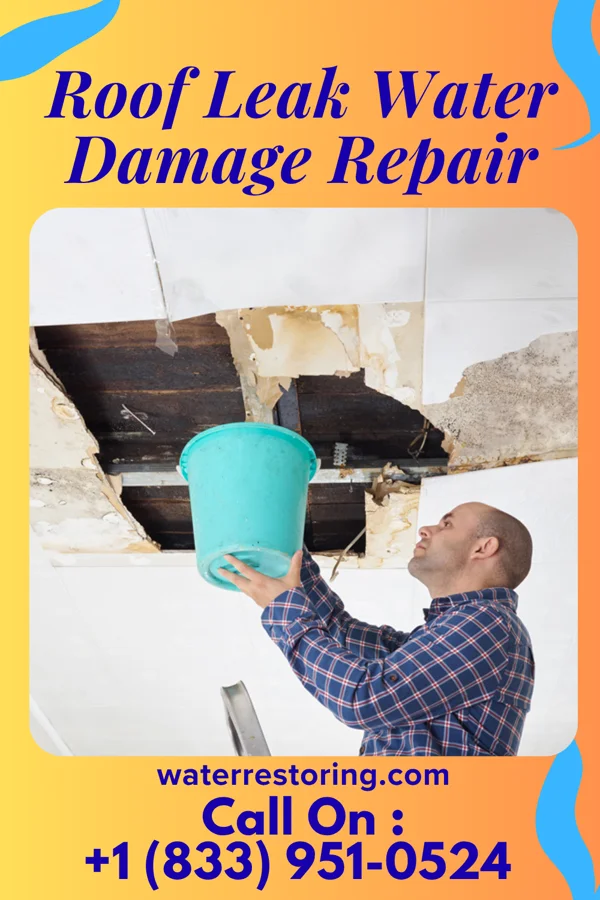 Roof Leak Water Damage Repair in Wilhoit, AZ